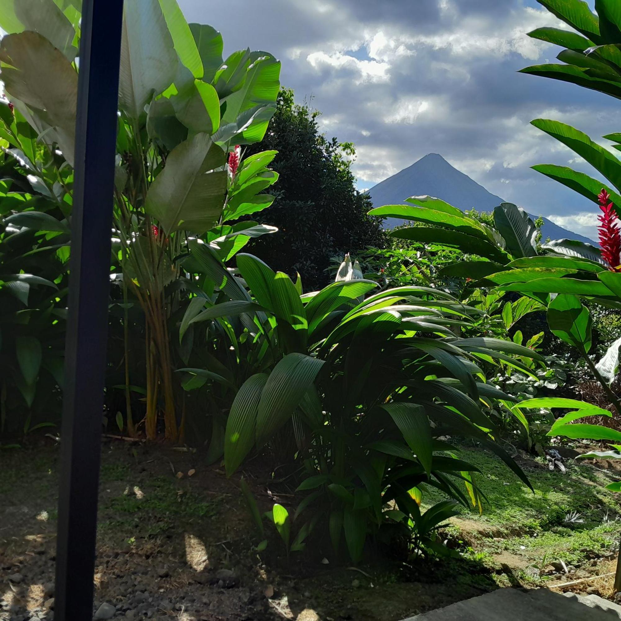 Cabana Rural Pura Vida La Fortuna Kültér fotó